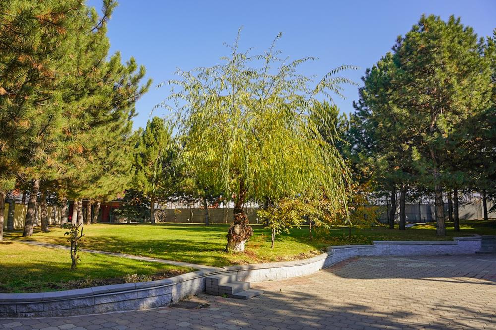 Фото Дом, 8 комн, 740м²