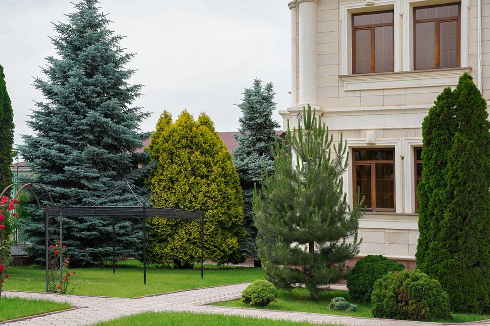 Фото Отдельный дом, 10 комн, 1647м²