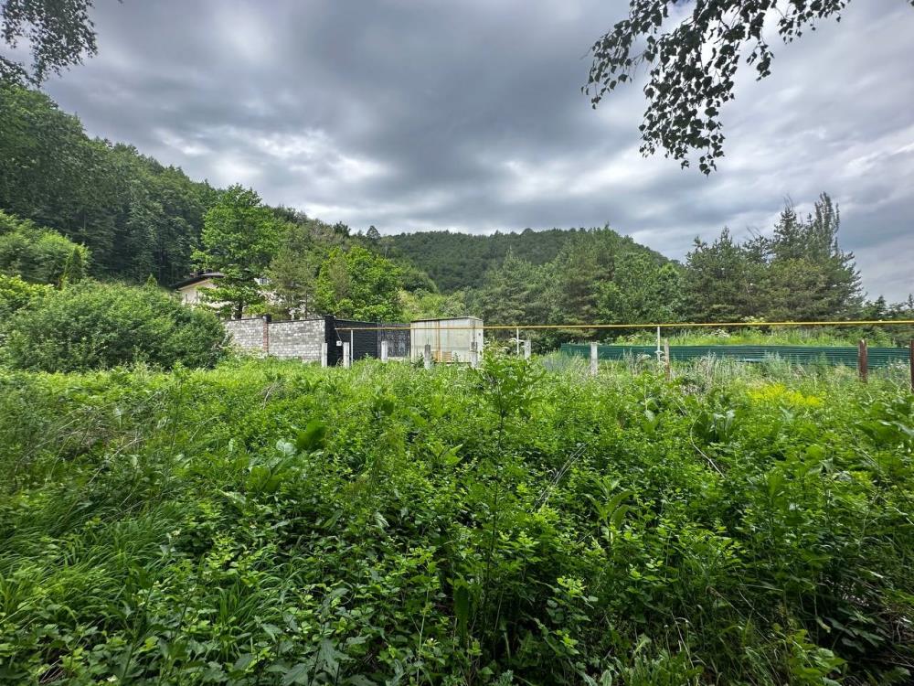 Фото Участок