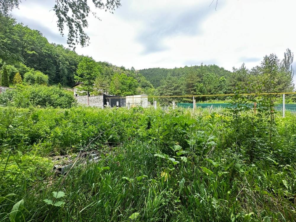 Фото Участок