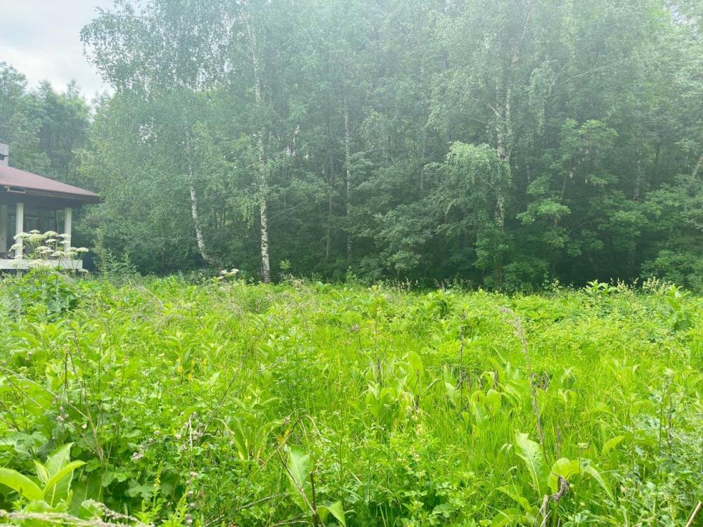 Фото Участок