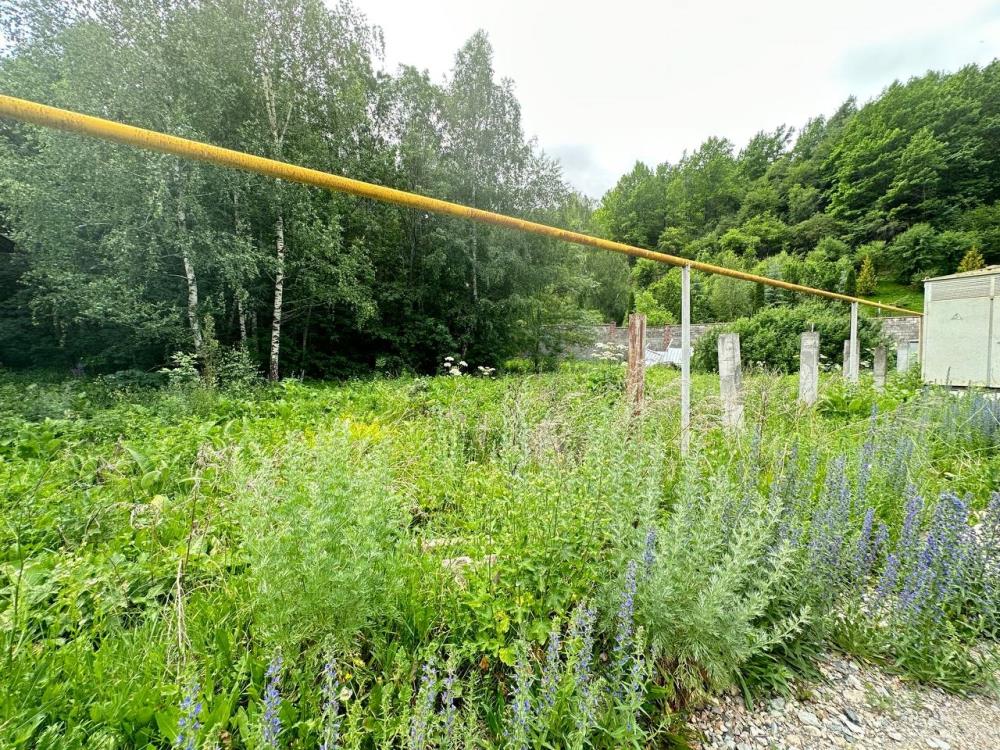 Фото Участок