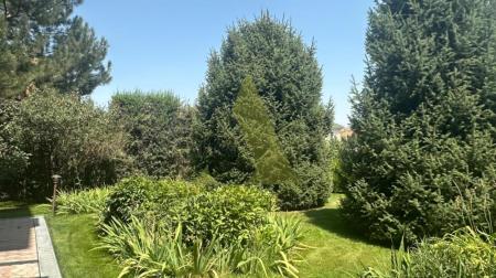 Фото Отдельный дом, 6 комн, 567м²