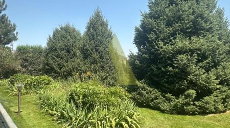 Фото Отдельный дом, 6 комн, 567м²