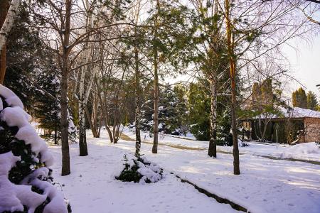 Фото Отдельный дом, 7 комн, 842м²