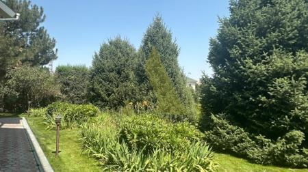 Фото Отдельный дом, 6 комн, 567м²