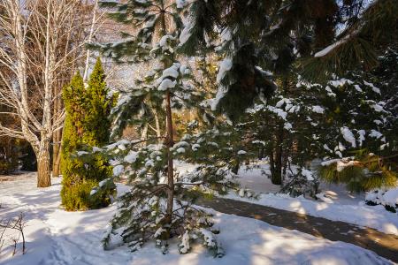 Фото Отдельный дом, 7 комн, 842м²
