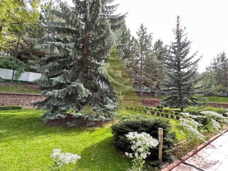 Фото Отдельный дом, 8 комн, 870м²