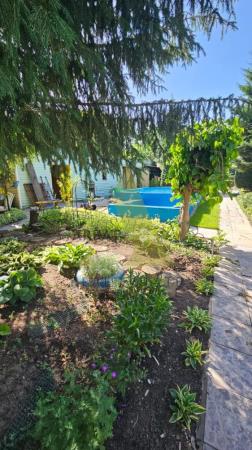 Фото Участок