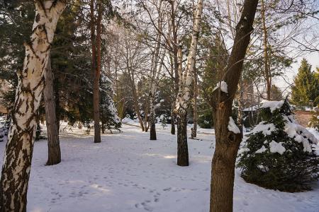 Фото Отдельный дом, 7 комн, 842м²
