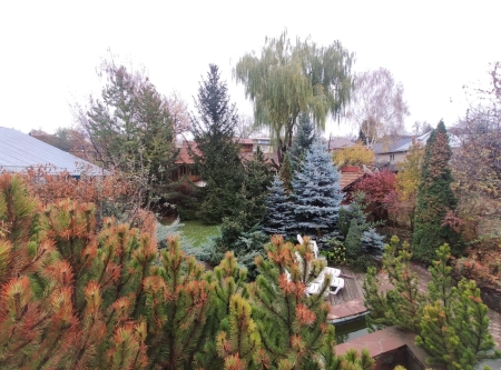 Фото Участок