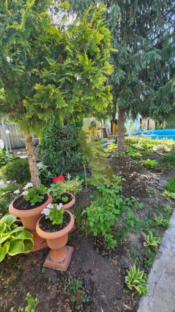 Фото Участок